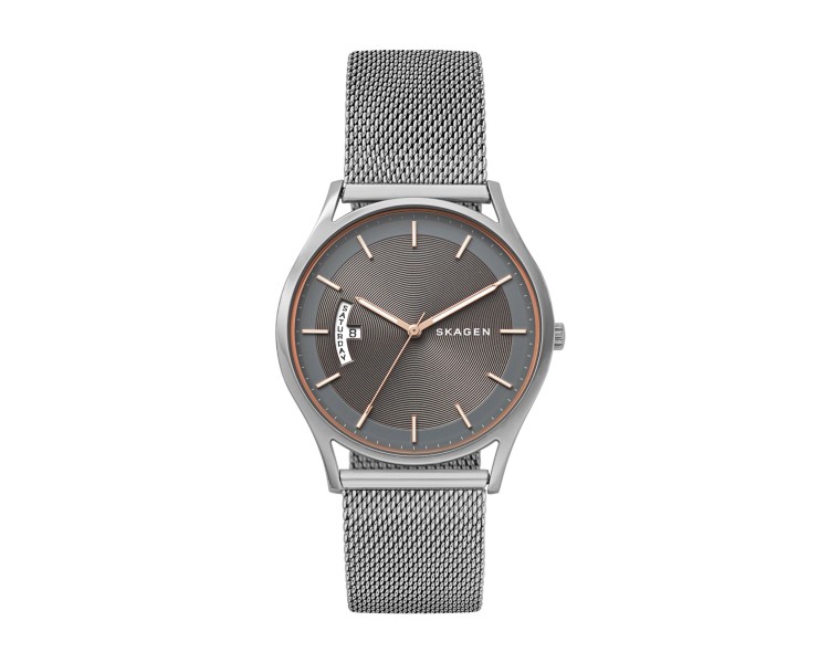 Montre Homme SKAGEN Holst Gris Milanais Brun - SKW6396