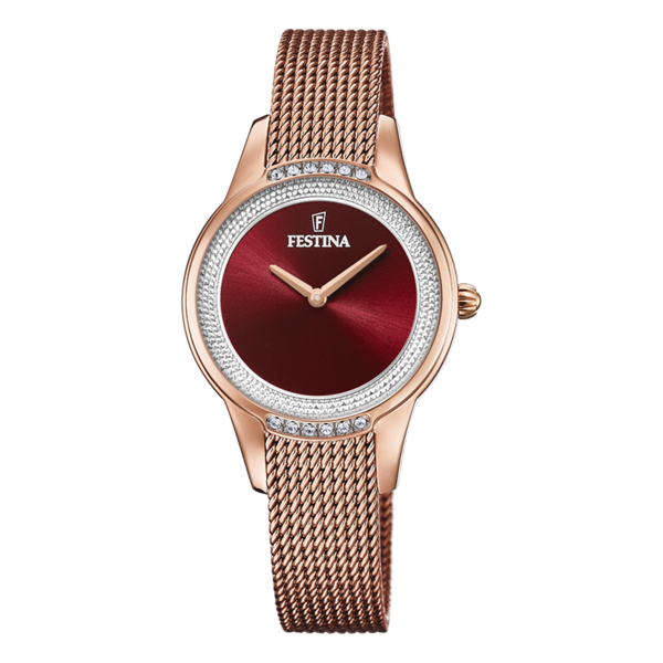 Montre Festina F20496/1 Montre Festina F20496/1