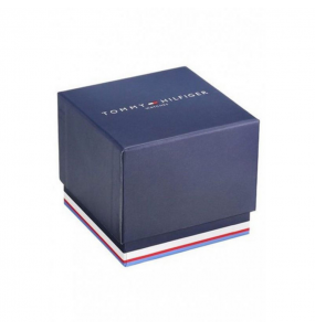 Montre Homme TOMMY HILFIGER Damon Bleu - 1791421