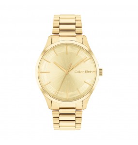 Montre Femme Calvin Klein - Collection Iconic Bracelet - Style Tendance - Réf. 25200043