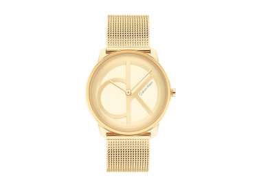 Montre Femme Calvin Klein - Collection Iconic Mesh - Style Tendance - Réf. 25200034