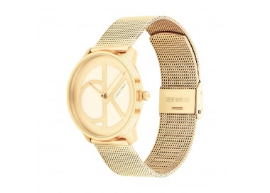 Montre Femme Calvin Klein - Collection Iconic Mesh - Style Tendance - Réf. 25200034