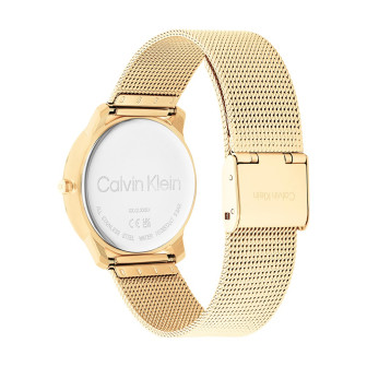 Montre Femme Calvin Klein - Collection Iconic Mesh - Style Tendance - Réf. 25200034