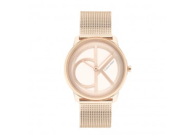 Montre Femme Calvin Klein - Collection Iconic Mesh - Style Tendance - Réf. 25200035