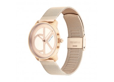 Montre Femme Calvin Klein - Collection Iconic Mesh - Style Tendance - Réf. 25200035
