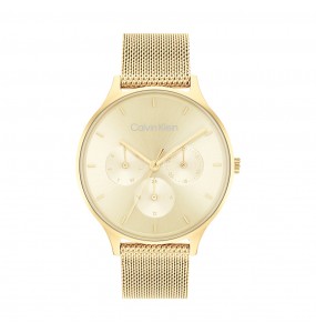 Montre Femme Calvin Klein - Collection Timeless Timeless Multi - Style Tendance - Réf. 25200103