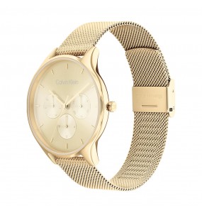 Montre Femme Calvin Klein - Collection Timeless Timeless Multi - Style Tendance - Réf. 25200103