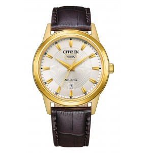 Montre Homme Citizen Eco-Drive 40mm AW0102-13AE