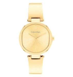 Montre Femme Calvin Klein bracelet Acier 25200309