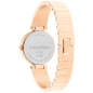Montre Femme Calvin Klein bracelet Acier 25200308