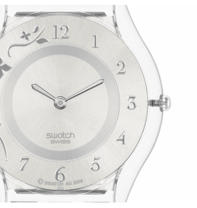 Montre Femme SWATCH Skin Classic Biosourced Acier Gris - SS08K100G