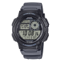 CASIO - Montre Homme World Time - Ref AE-1000W-8AVEF